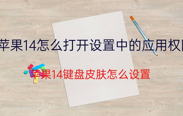 苹果14怎么打开设置中的应用权限 苹果14键盘皮肤怎么设置？